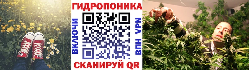Бошки марихуана ГИДРОПОН  как найти закладки  Тюмень 